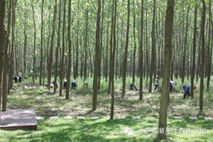 亿万28官网-追求健康,你我一起成长